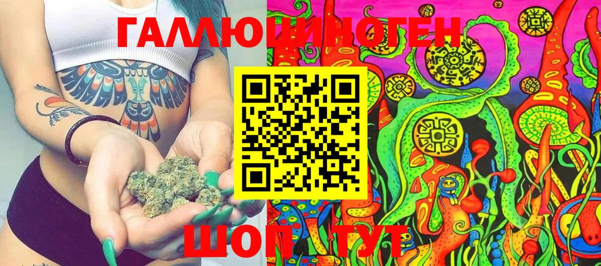 Сухой Лог  Псилоцибиновые грибы прущие грибы  Псилоцибиновые грибы Cubensis  Вход с VPN 